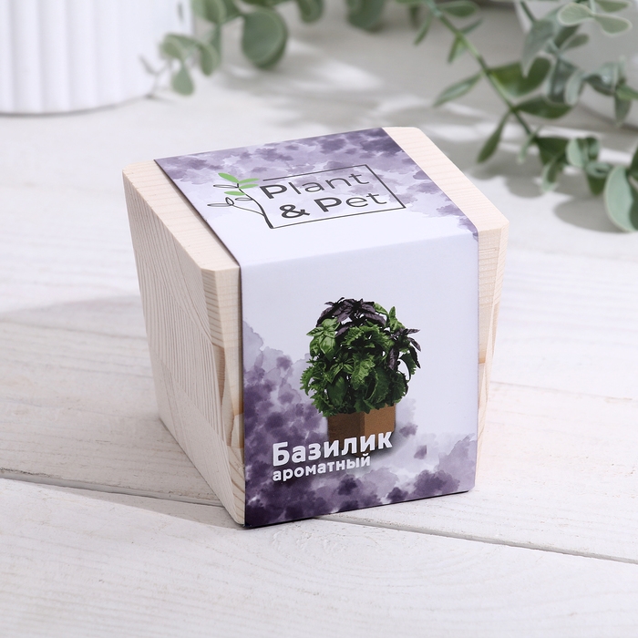 Набор для выращивания P&P Набор для выращивания P&P "Базилик ароматный"
