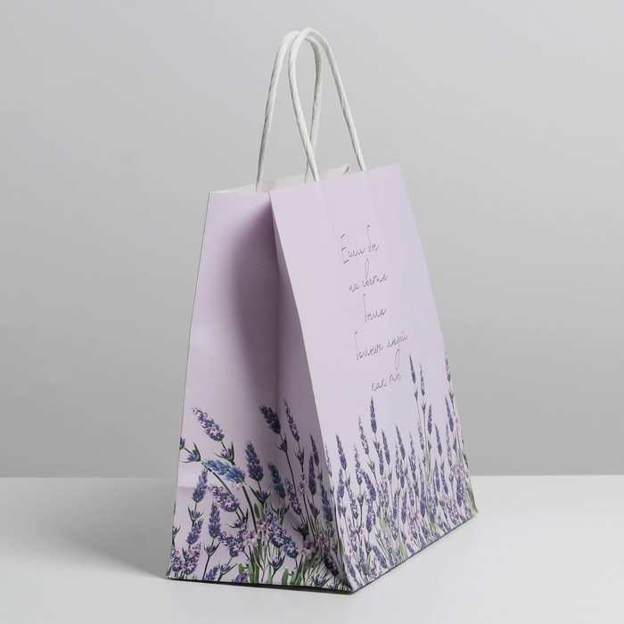 Пакет подарочный, упаковка, «Если бы», 22 х 22 х 11 см Пакет подарочный, упаковка, «Если бы», 22 х 22 х 11 см