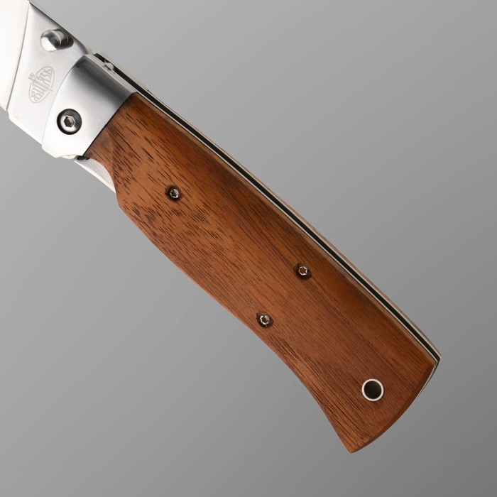 Нож складной  Нож складной "Клён" сталь 65х13, рукоять - гикори, 23 см