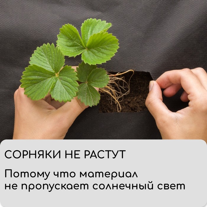 Материал мульчирующий, 5 × 1.6 м, плотность 60 г/м², спанбонд с УФ-стабилизатором, чёрный, Greengo, Эконом 30% Материал мульчирующий, 5 × 1.6 м, плотность 60 г/м², спанбонд с УФ-стабилизатором, чёрный, Greengo, Эконом 30%