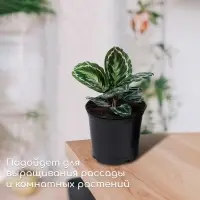 Горшок для рассады, 1 л, d = 13 см, h = 10,5 см, чёрный, Greengo Горшок для рассады, 1 л, d = 13 см, h = 10,5 см, чёрный, Greengo