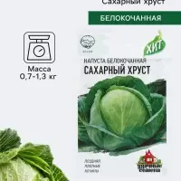 Семена Капуста белокочанная &laquo;Сахарный хруст&raquo;, 0.1 г, поздняя, &laquo;Удачные семена&raquo;