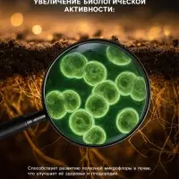 Органическое удобрение &laquo;Биогумус&raquo; Рецепты дедушки Никиты, концентрат, канистра 3 л