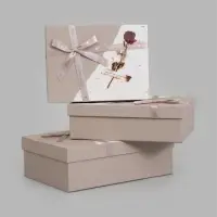Набор подарочных коробок 3 в 1, 29&times;21&times;9.5 см 26&times;19&times;8 см 23&times;17&times;6.5 см