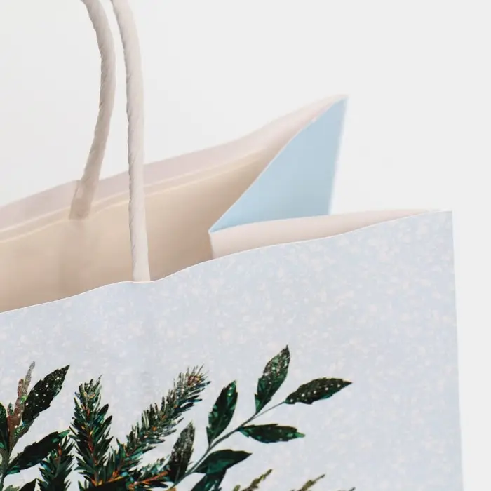 Пакет подарочный крафтовый «Рябина», 25 х 22 х 12 см Пакет подарочный крафтовый «Рябина», 25 х 22 х 12 см