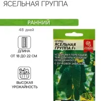 Семена Огурец "Ясельная Группа",  F1, 5 шт
