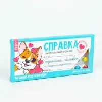 Драже шоколадное &laquo;Справка хорошего человека&raquo; в блистере, 13 г