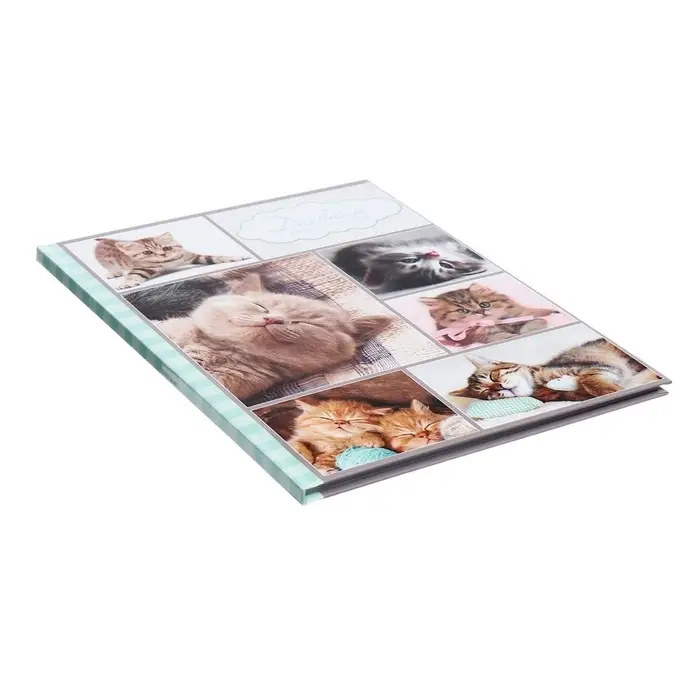 Дневник универсальный для 1-11 классов, "Котята", твердая обложка 7БЦ, глянцевая ламинация, 40 листов