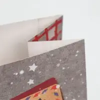 Пакет подарочный без ручек новогодний &laquo;Кому‒то ну очень хорошему&raquo;, 10&times;19.5&times;7 см