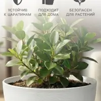 Горшок для цветов &laquo;Фиалочка&raquo;, 500 мл, d=12.5 см, h=7 см, пластиковый, белый