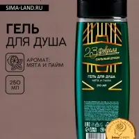 Гель для душа мужской &laquo;С 23 Февраля!&raquo;, 250 мл, аромат мяты и лайма, Чистое счастье