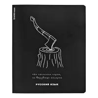 Набор предметных тетрадей ErichKrause &laquo;Зри в корень&raquo;, 12 предметов, 48 листов, со справочным материалом, пластиковая обложка