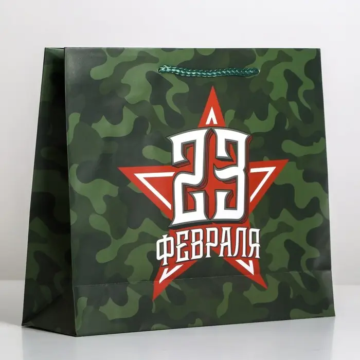 Пакет подарочный ламинированный, упаковка, «С 23 февраля», ML 25 х 21 х 8 см