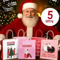 Пакеты подарочные крафтовые &laquo;Капелька волшебства&raquo;, набор 5 шт., 22&times;22&times;11 см