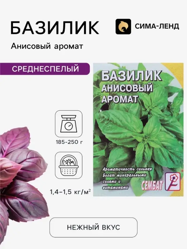 Семена Базилик зелёный &laquo;Анисовый аромат&raquo;, 0.2 г, &laquo;Сембат&raquo;