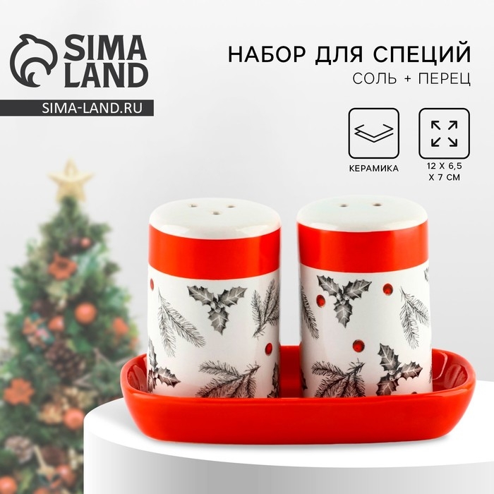 Новый год. Набор для специй керамический «Рождественский!», 12х6.5х7 см, цвет белый Новый год. Набор для специй керамический «Рождественский!», 12х6.5х7 см, цвет белый