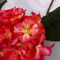 Цветы искусственные &laquo;Гортензия элит&raquo;, h=50 см, d=16 см, красные