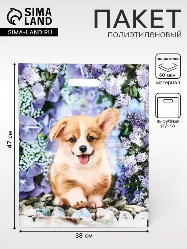 Пакет &laquo;Рыжик&raquo;, полиэтиленовый с вырубной ручкой, 38&times;47 см, 60 мкм