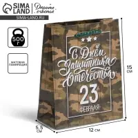 Пакет подарочный ламинированный, упаковка, «С 23 февраля», S 12 х 15 х 5.5 см