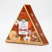 URAL LAB Арома Саунд Набор два геля для душа, 2х100 и мочалка для тела, мандарин и тыква