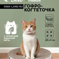 Гофрокогтеточка &laquo;Пижон. Спил березы&raquo;, 28&times;4 см, с пропиткой, высокая, круглая