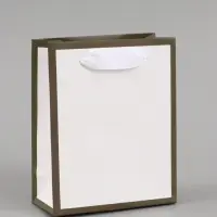 Пакет подарочный, упаковка, &laquo;Белый&raquo;, 15&times;12&times;5.5 см