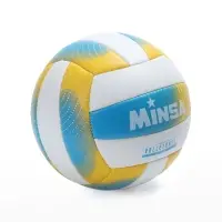 Волейбольный мяч MINSA, машинная сшивка, 18 панелей, р. 5, PVC