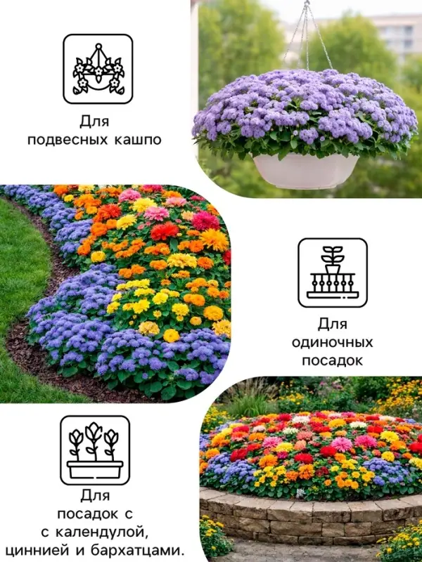 Семена цветов Агератум, голубой, 0.1 г, &laquo;Рецепты дедушки Никиты&raquo;