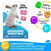 Обучающие карточки по методике Глена Домана &laquo;Домашние животные&raquo;, 8 карт, 2+