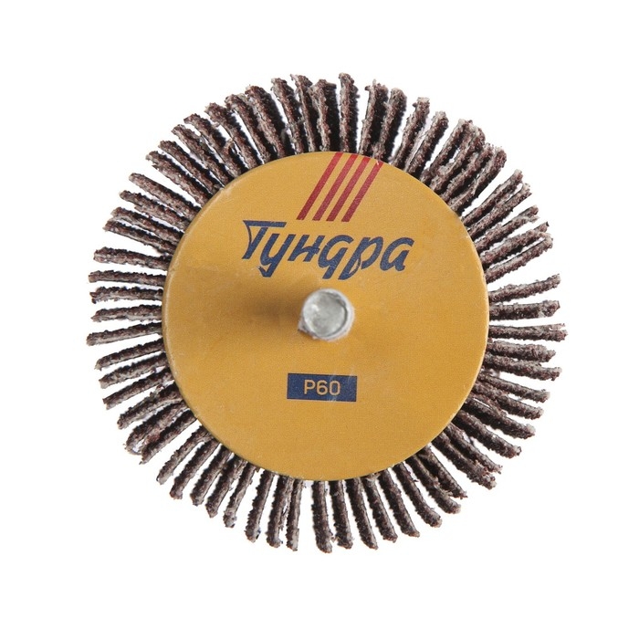 Круг лепестковый радиальный ТУНДРА, 60 х 30 х 6 мм, Р60 Круг лепестковый радиальный ТУНДРА, 60 х 30 х 6 мм, Р60