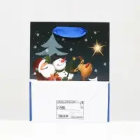 Пакет ламинированный «Сказочная ночь» 11.5×14.5×6 см