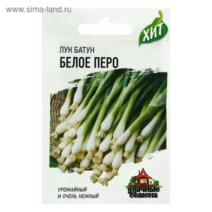Семена Лук на зелень "Белое перо", ц/п,  0,5 г  серия ХИТ х3 Семена Лук на зелень "Белое перо", ц/п,  0,5 г  серия ХИТ х3