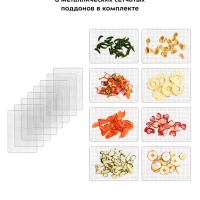 Сушилка для овощей и фруктов КТ-1950 - 500 Вт