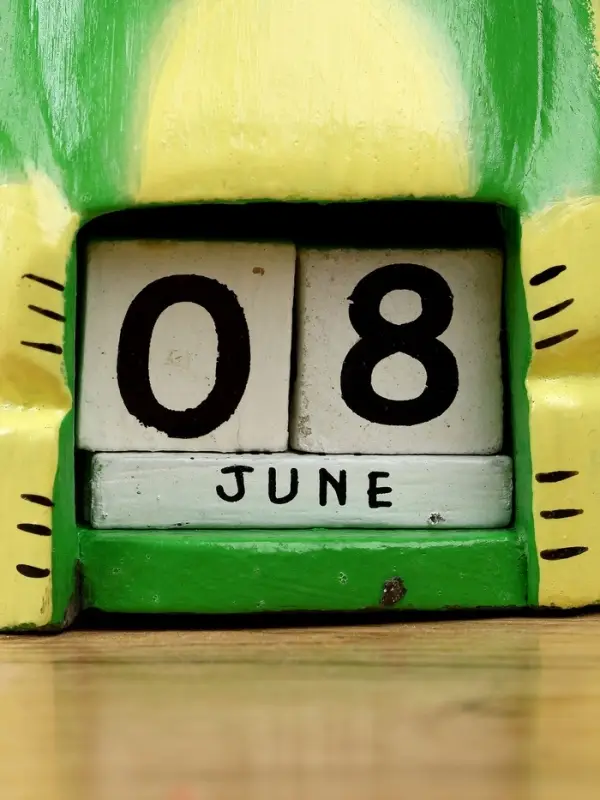 Календарь настольный «Лягушка», 10×6×21 см, дерево, светло-зелёный Календарь настольный «Лягушка», 10×6×21 см, дерево, светло-зелёный