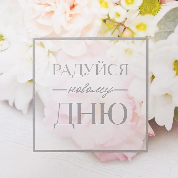 Коробка для печенья, кондитерская упаковка с пластиковой крышкой, «Радуйся новому дню», 18 х 18 х 3 см Коробка для печенья, кондитерская упаковка с пластиковой крышкой, «Радуйся новому дню», 18 х 18 х 3 см