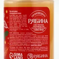 Гель для душа, аромат апельсинового пирога, 110 мл, URAL LAB