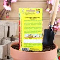 Семена цветов Шток-роза «Летний карнавал», 0.3 г Семена цветов Шток-роза «Летний карнавал», 0.3 г