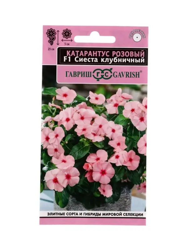Семена цветов Катарантус Сиеста клубничный F1* 5 шт.
