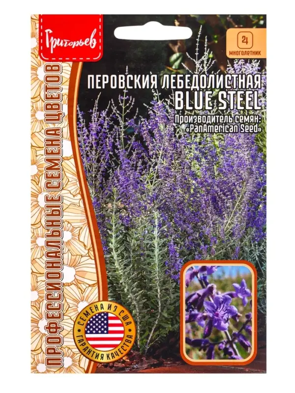 Семена цветов Перовския Blue Steel лебедолистная  3шт / НОВИНКА 12.29 г.