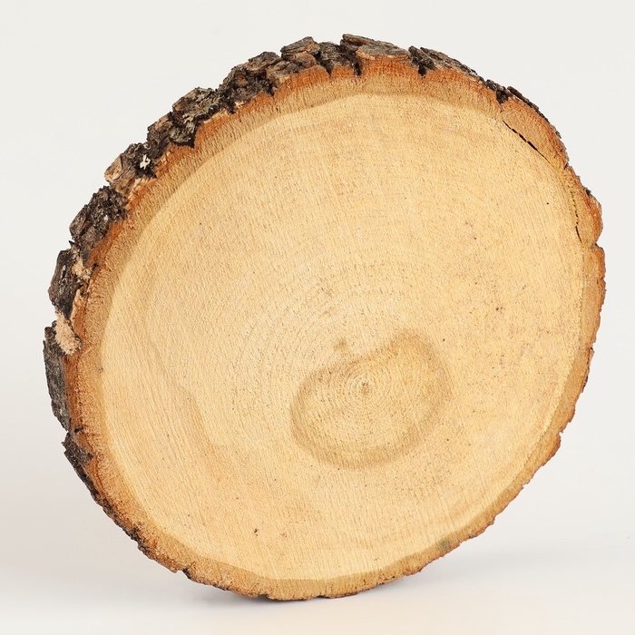 Роспись по дереву на новый год для детей. Рисование на спиле «Олень», набор для творчества Роспись по дереву на новый год для детей. Рисование на спиле «Олень», набор для творчества