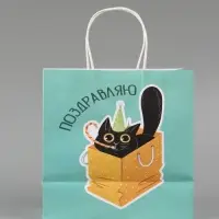 Пакет подарочный &laquo;Поздравляю&raquo;, 22 х 22 х 11 см