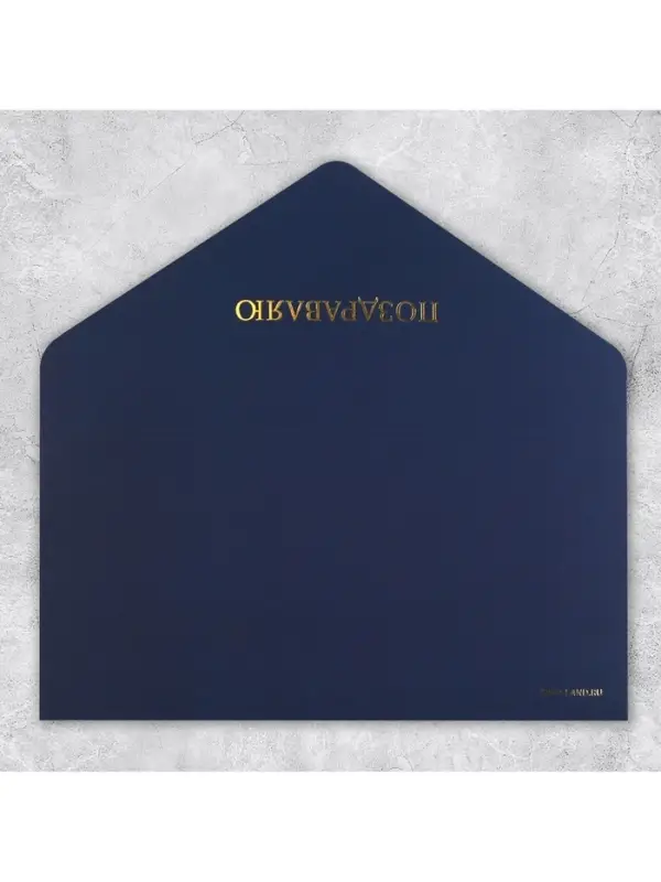 Конверт подарочный «Клетка», софт тач, тиснение, 19 х 9 см Конверт подарочный «Клетка», софт тач, тиснение, 19 х 9 см