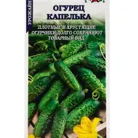 Семена Тыква Капелька (мини-овощи) /Сотка/ 0,5 г / 0,8-1,3, кг /*600 Семена Тыква Капелька (мини-овощи) /Сотка/ 0,5 г / 0,8-1,3, кг /*600