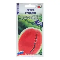 Семена Арбуз &laquo;Гаврош&raquo;, ранний, 0.5 г