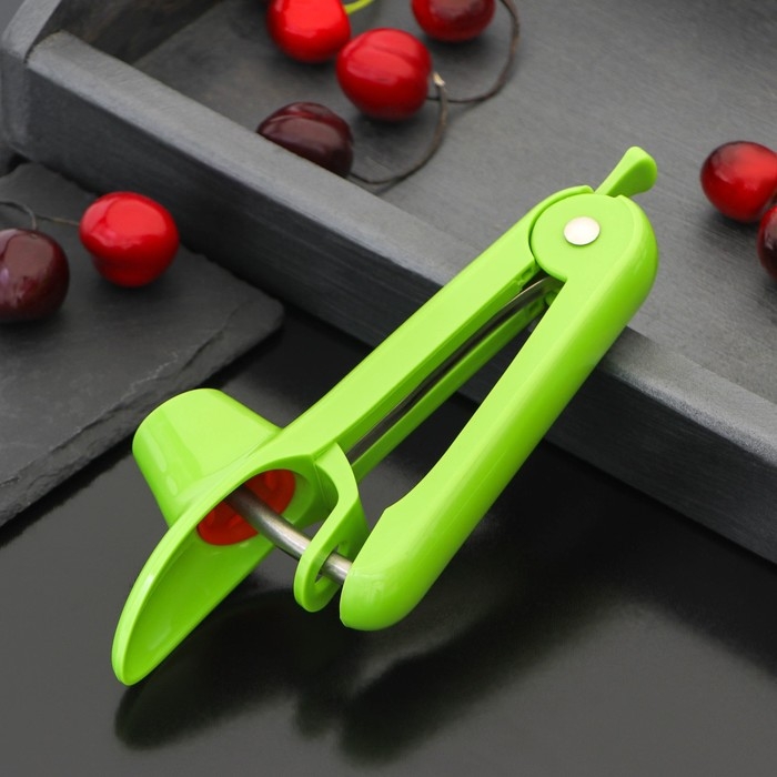 Удалитель косточки Доляна «Эдда», 20 см, цвет зелёный Удалитель косточки Доляна «Эдда», 20 см, цвет зелёный