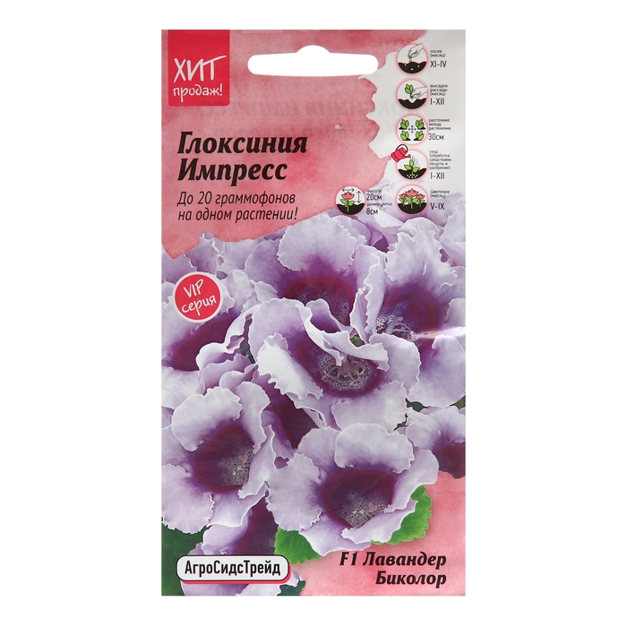 Семена цветов Глоксиния  Семена цветов Глоксиния "Импресс F1 Лавандер Биколор", 5 шт
