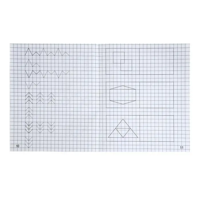 Рабочая тетрадь «Дошкольные прописи в клетку», часть 2