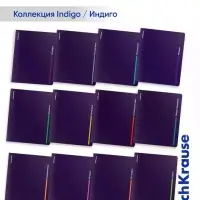 Набор предметных тетрадей ErichKrause Indigo, 12 предметов, 48 листов, с пластиковой обложкой