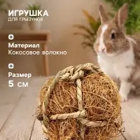 Игрушка для грызунов, погрызушка &laquo;Кокос&raquo;, 5 см