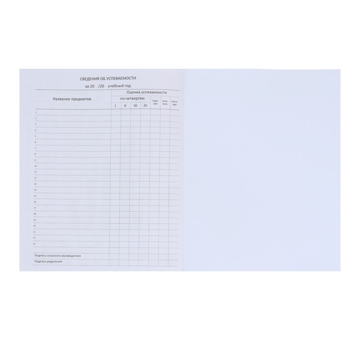 Дневник универсальный для 1-11 класса Favorite, мягкая обложка, на кнопке, искусственная кожа, тиснение фольгой, хлястик, ляссе, 48 листов